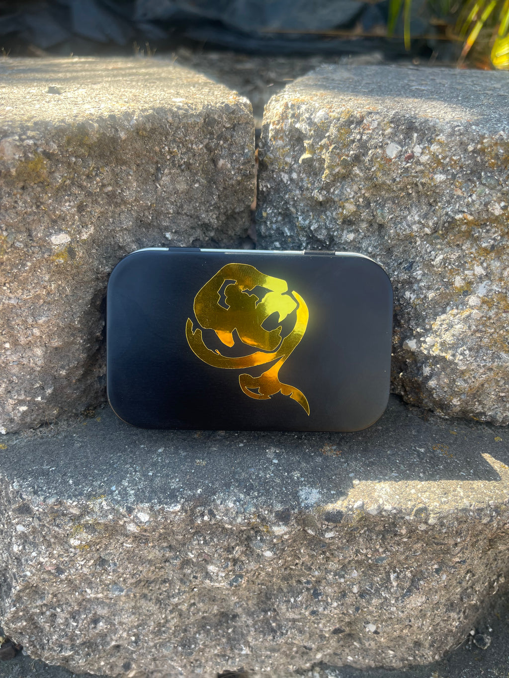 Earth Black Dragon Mini Fig Tin!