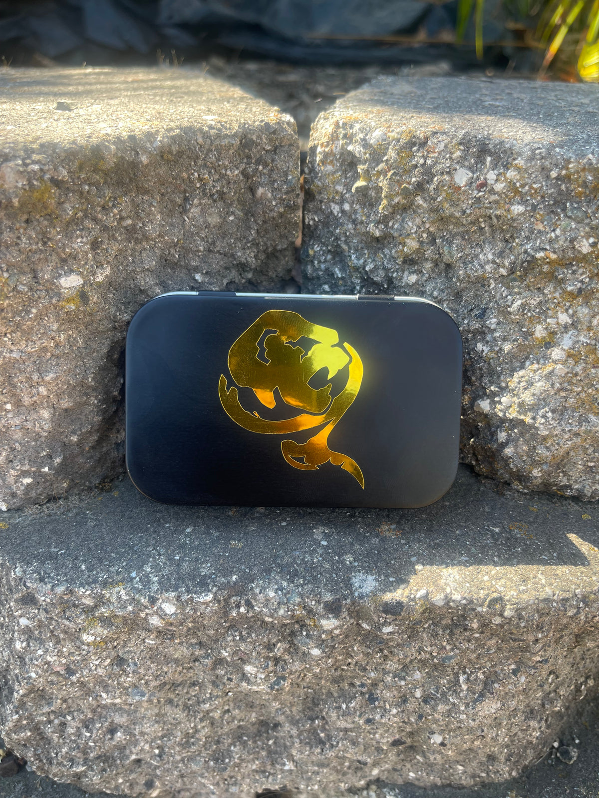 Earth Black Dragon Mini Fig Tin!