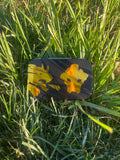 Earth Black Dragon Mini Fig Tin!